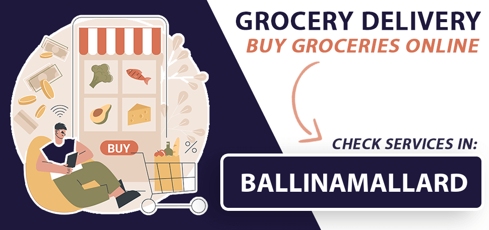 grocery-delivery-ballinamallard
