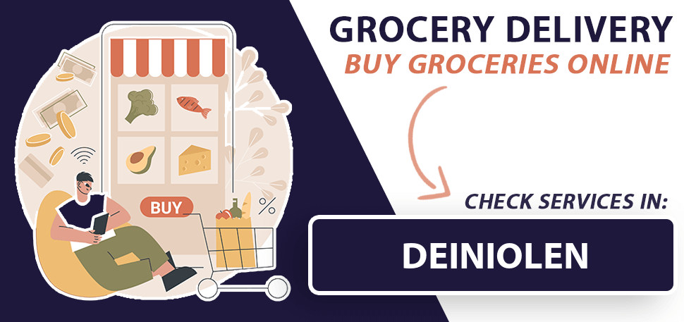 grocery-delivery-deiniolen