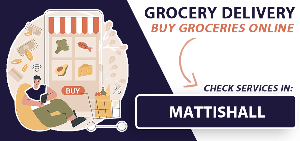 grocery-delivery-mattishall